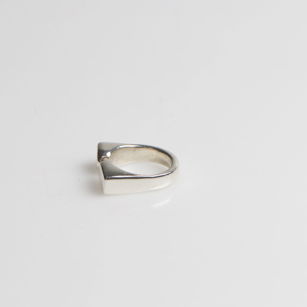 Arlo Ring I